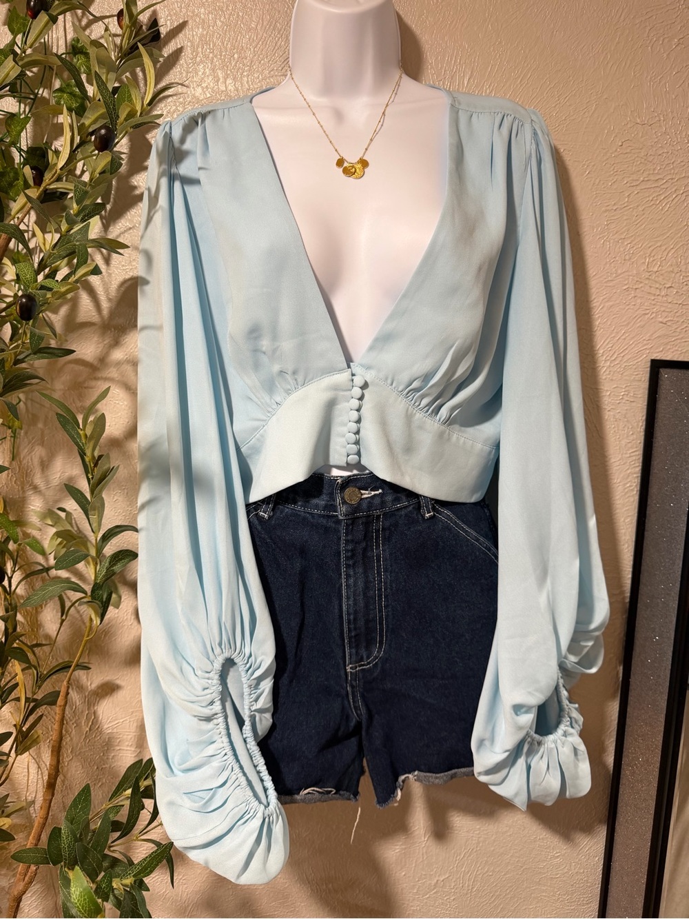 Signature8 Powder Blue Plunge V Balloon Sleeve Blouse